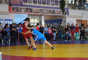 Краевые соревнования  по борьбе среди девушек вновь пройдут в Шарыпове