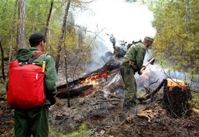 Доступ в леса ограничили режимом ЧС
