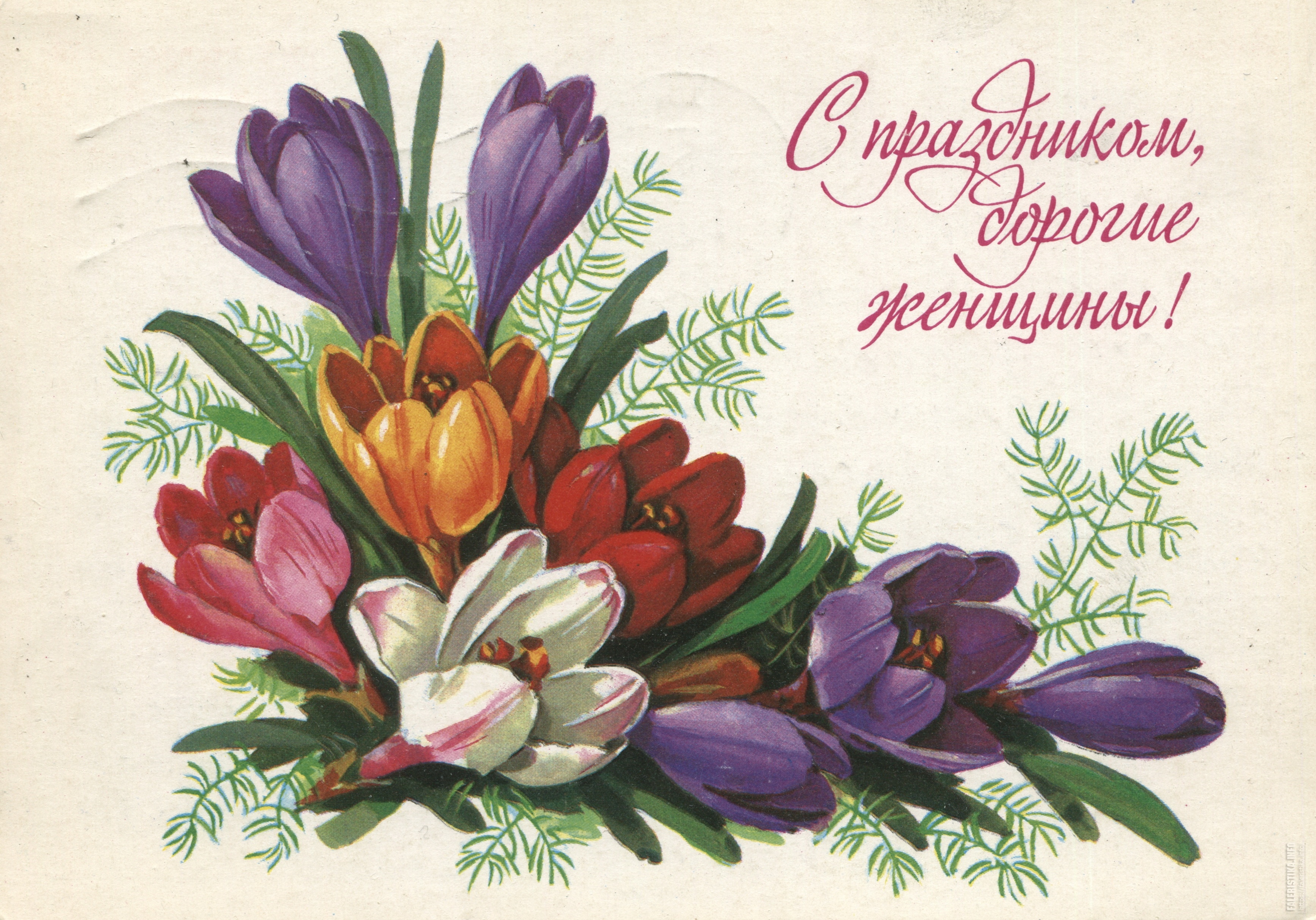 С наступающим праздником весны открытки. С международным женским днем.