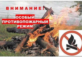 Сотрудники полиции в Шарыпово проводят мероприятия по профилактике лесных пожаров